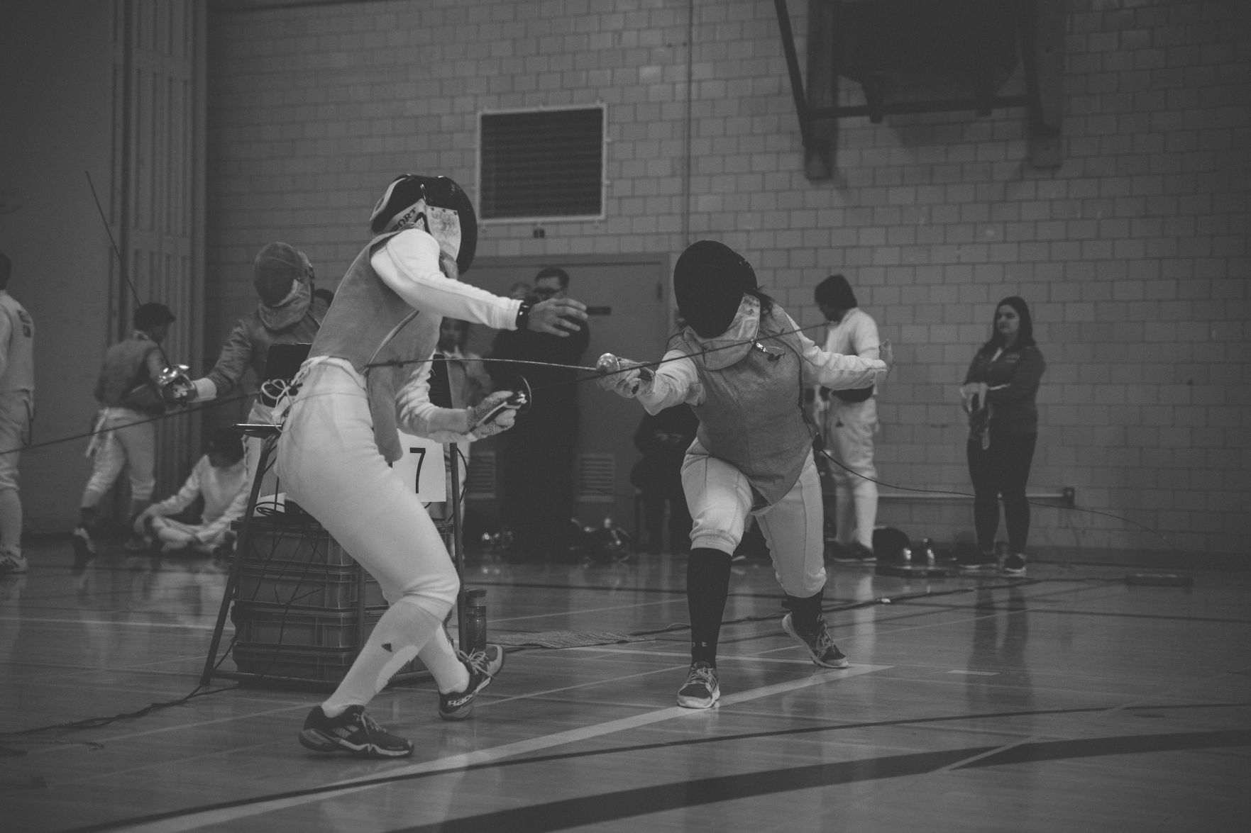 Fencing 4